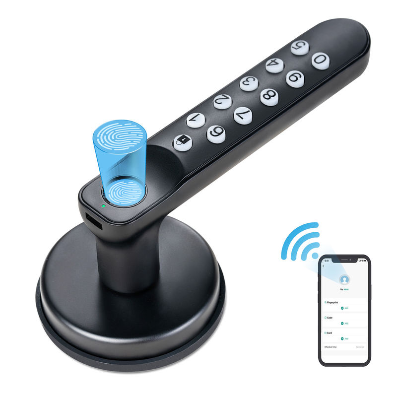 Chiave di riserva, T02 Smart Fingerprint Door Knob, Serrature senza chiave con tastiera, Smart Door Lock su Tuya App